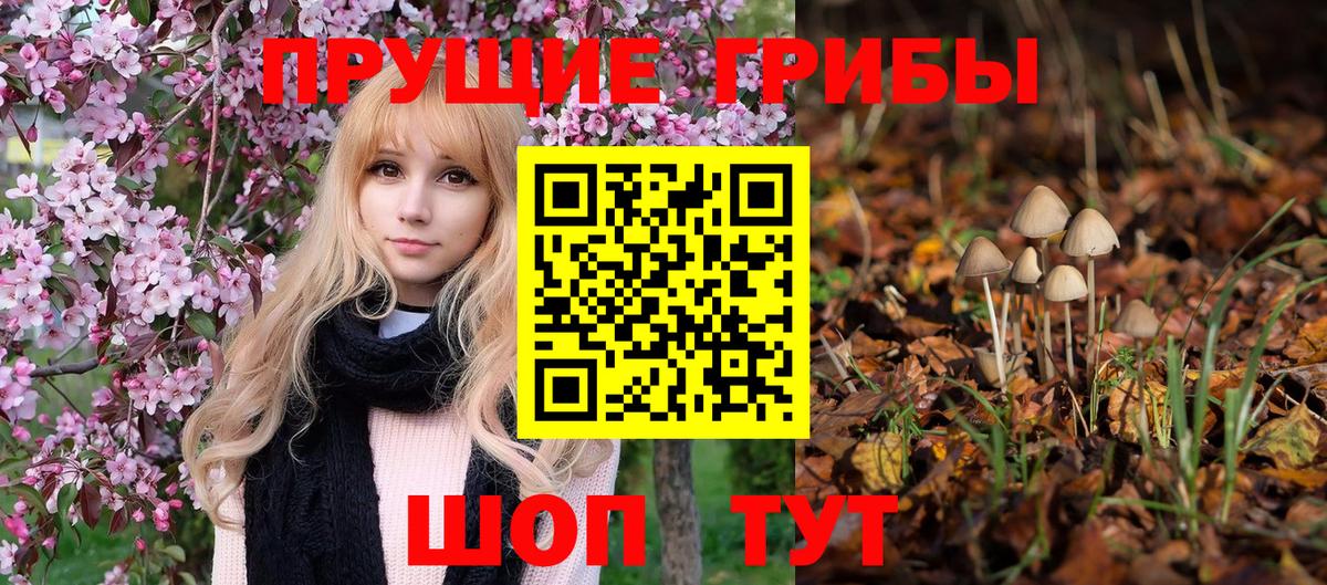 Псилоцибиновые грибы Psilocybine cubensis  Вход с VPN  Псилоцибиновые грибы Psilocybe  Биробиджан 