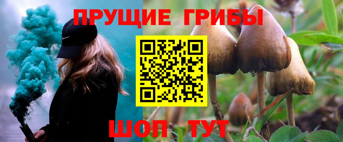 Галлюциногенные грибы прущие грибы Биробиджан